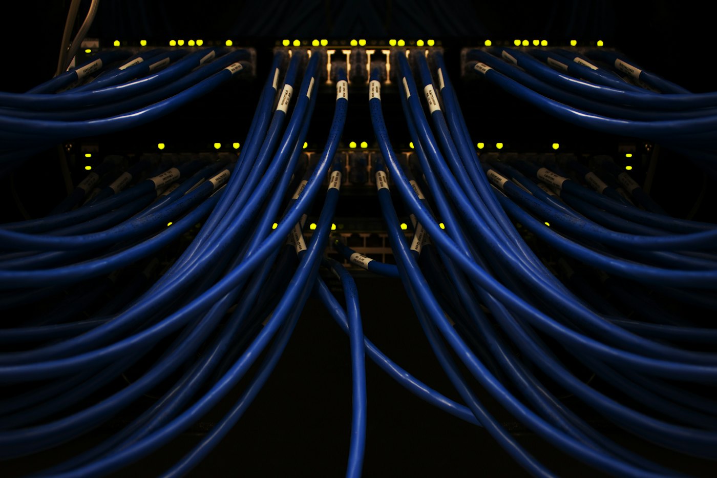Patch cables routed into a network switch